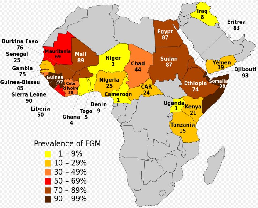 Prevalence of FGM/C on the basis of the UNICEF report on Wikipedia license CC-GDFL